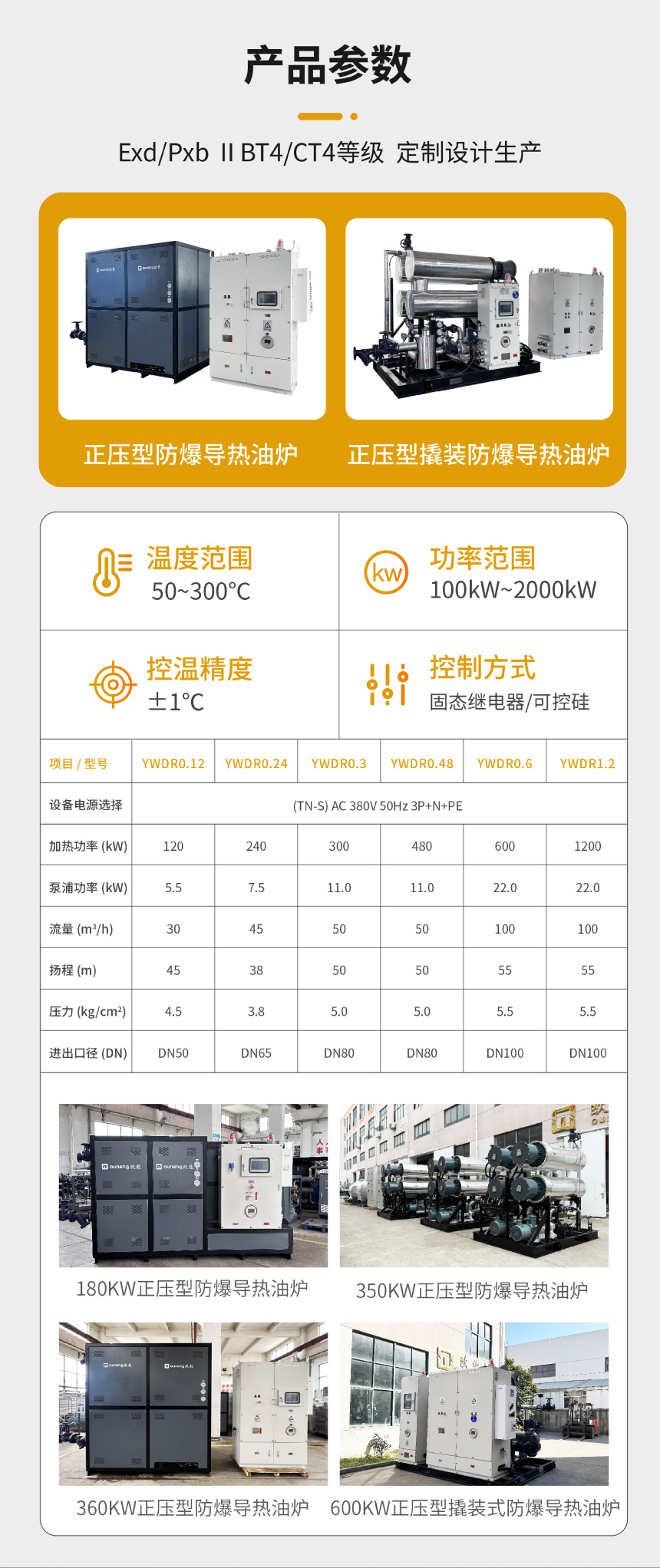 電加熱防爆導熱油設備